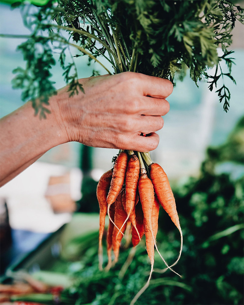 Carbs in Carrots